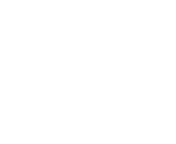 Orion la pépite des oignons