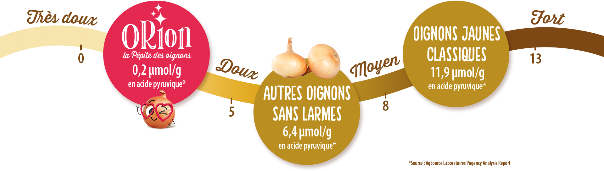 L’oignon Orion, saveur douce pour cuisiner en famille